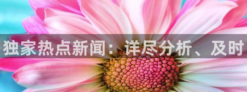王楚钦黑料：独家热点新闻：详尽分析、及时